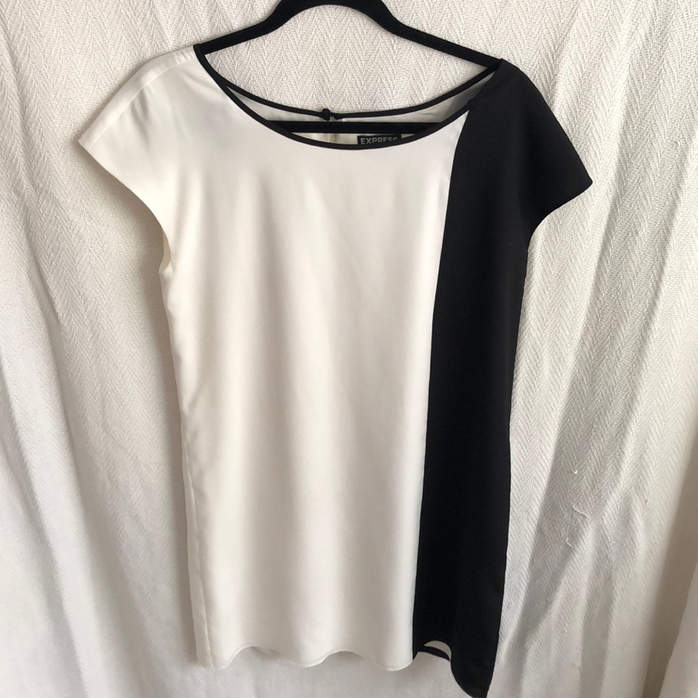 Express t shirt dress double lined